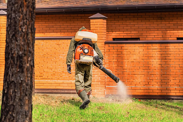 Bed Bug Clearance Verification and Documentation in Knob Noster